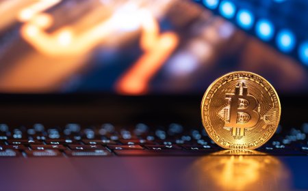 Why Every Crypto Investor Needs a Crypto Calculator