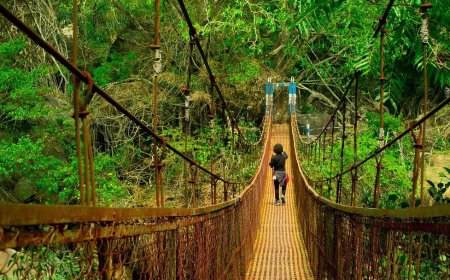 Guwahati Shillong Tour – Hills, Temples & Tranquility