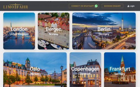 Bergen VIP Airport Transfer – Luxury Travel with Private Chauffeur