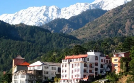 How to Reach Dharamshala Himachal Pradesh: Smooth Journeys