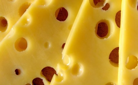 Asia-Pacific Organic Baby Food Market Size, Share & Forecast 2025-2033 North America Baby Food Market Size and Share Analysis - Growth Trends and Forecast Report 2025-2033 Zimbabwe Leather Goods Market Size and Share Analysis - Growth Trends and Forecast Report 2025-2033