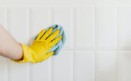 Top 5 Best Home Cleaning Services near Manhattan Reviewed