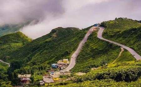 Darjeeling Tour Packages Under 10000: Affordable Hill Getaway