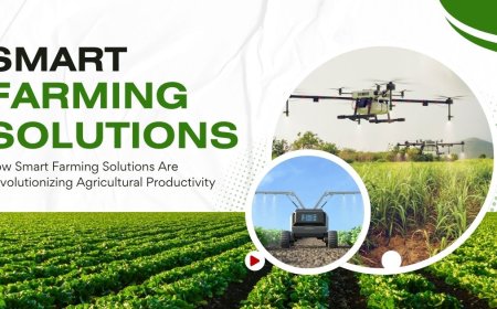 How Smart Farming Solutions Are Revolutionizing Agricultural Productivity