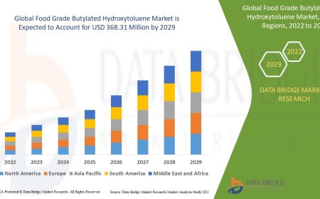 Food Grade Butylated Hydroxytoluene Market: Ensuring Food Safety and Shelf Life Extension