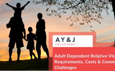 Adult Dependent Relative Visa UK: Requirements, Costs & Common Challenges