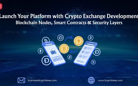 Launch Your Platform with Crypto Exchange Development: Blockchain Nodes, Smart Contracts & Security Layers