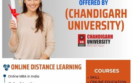 The Reasons for Selecting an Online MBA for Working Professionals?