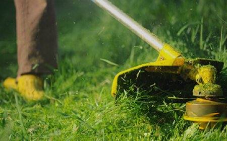 Expert Lawn Mowing Kingsford | Affordable Garden Services