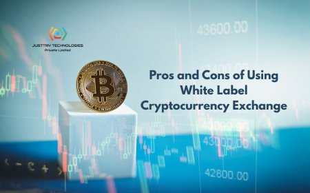 Pros and Cons of Using White Label Cryptocurrency Exchange