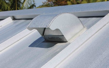 What Cleaning Your Dryer Lint Trap Does for Cape Coral Homes