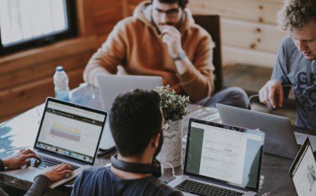 Hire a Professional Business Consultant in Sydney | Boost Your Success