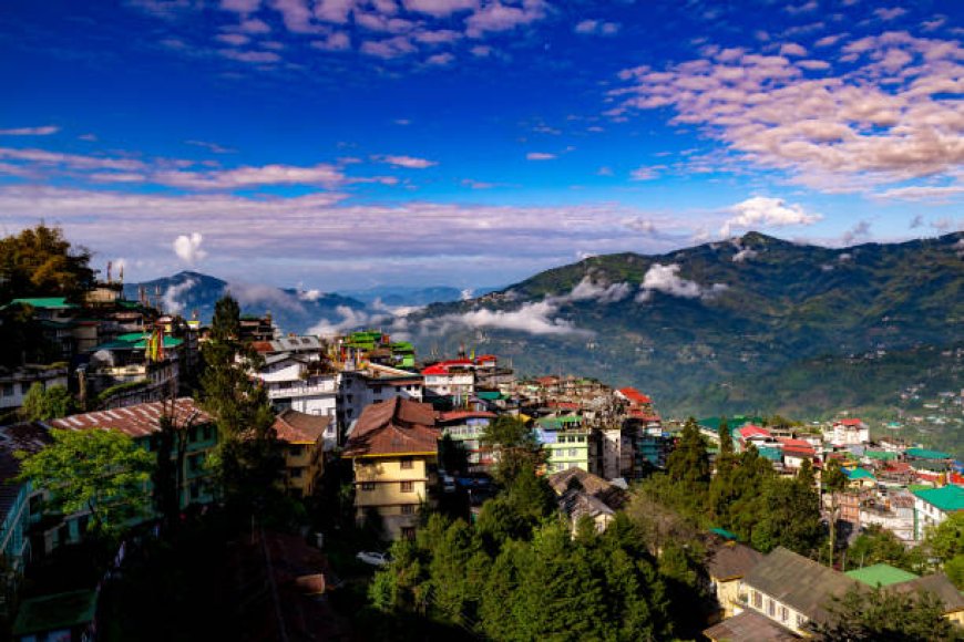 Darjeeling Tour Packages under 10000: Solo or Group Fun