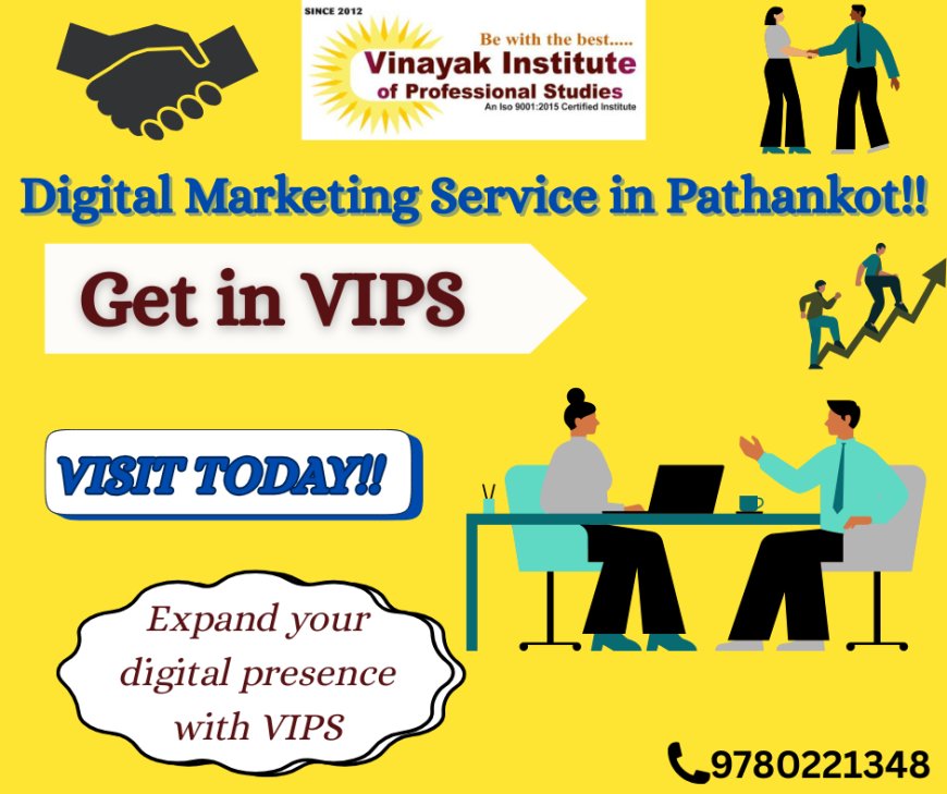 Digital Marketing Service in Pathankot |Vipstudies