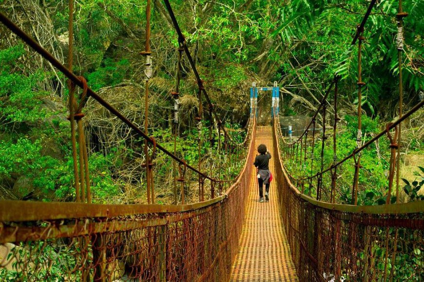 Guwahati Shillong Tour – Hills, Temples & Tranquility