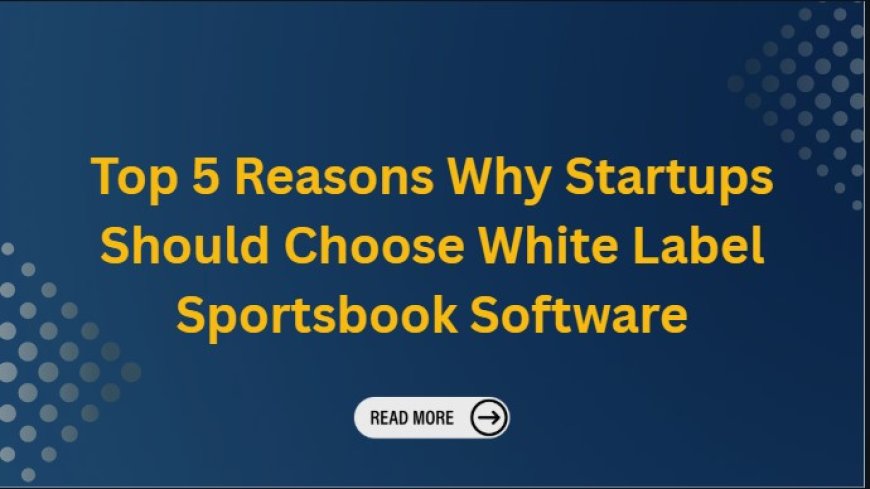 Top 5 Reasons Why Startups Should Choose White Label Sportsbook Software