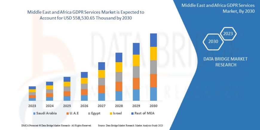 Middle East and Africa GDPR Services Market Growth and Future Trends