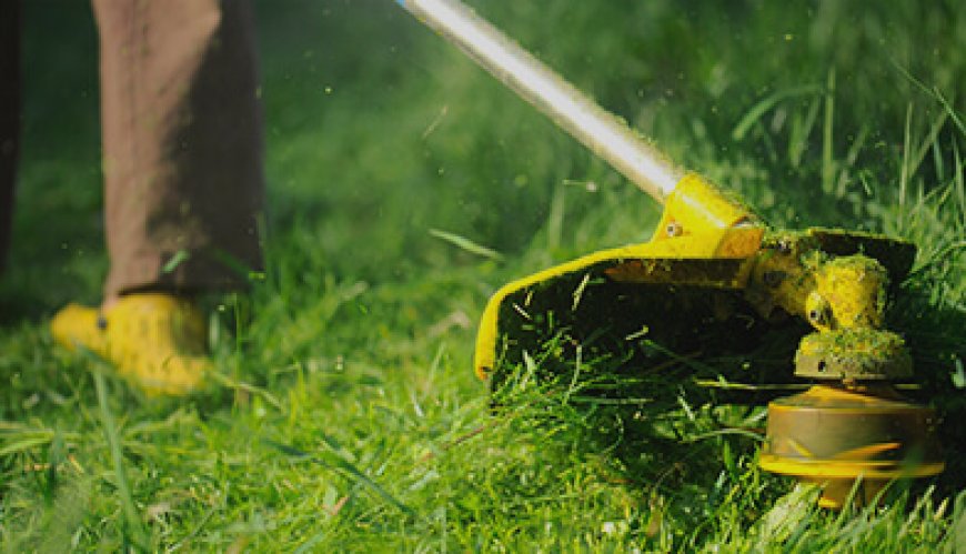 Expert Lawn Mowing Kingsford | Affordable Garden Services