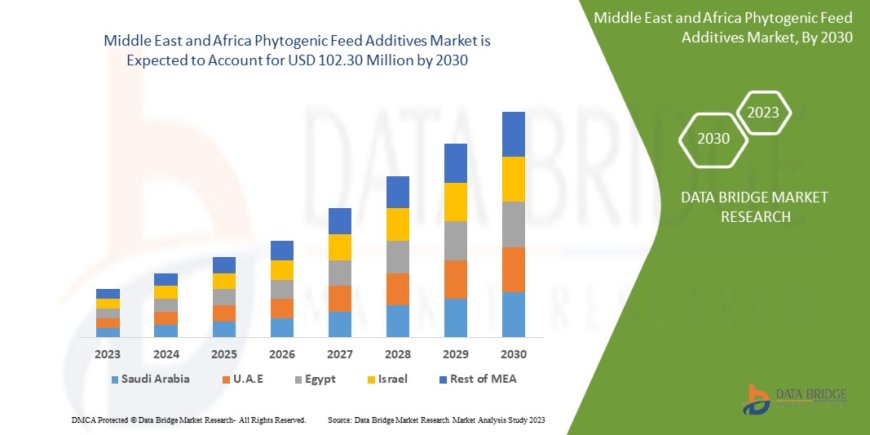 Middle East and Africa Phytogenic Feed Additives Market Growth Drivers: Share, Value, Size, and Insights