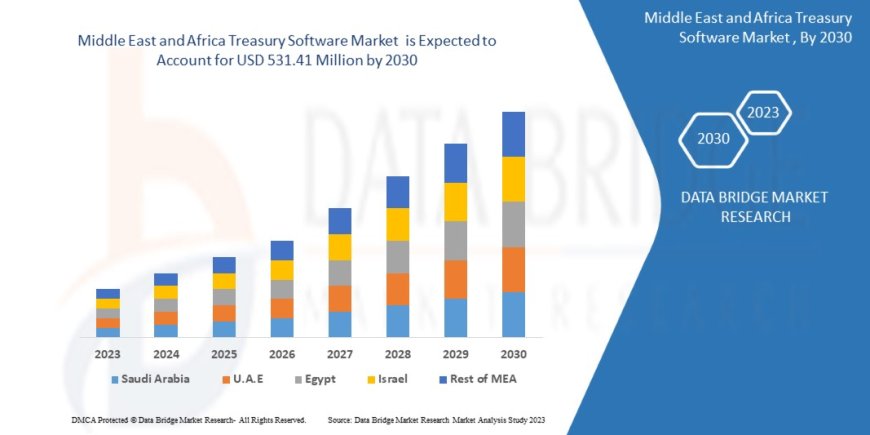 Middle East and Africa Treasury Software Market Research Report: Growth, Share, Value, Size, and Analysis