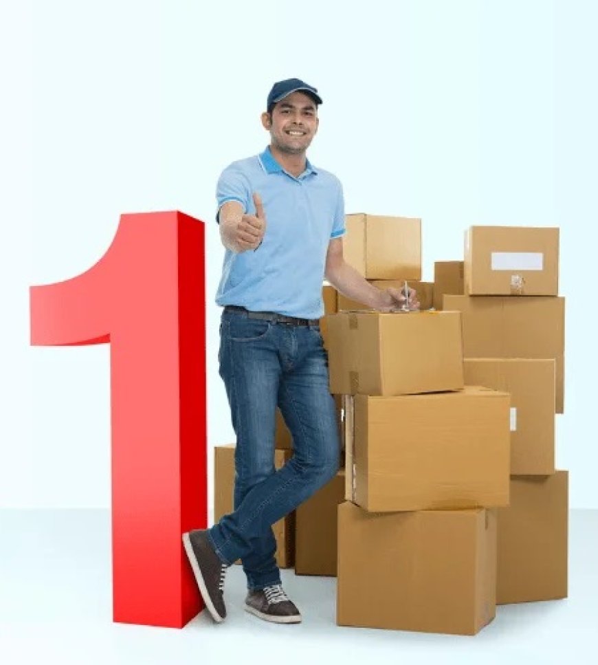 Get the Best Rates for Packers and Movers in Jodhpur