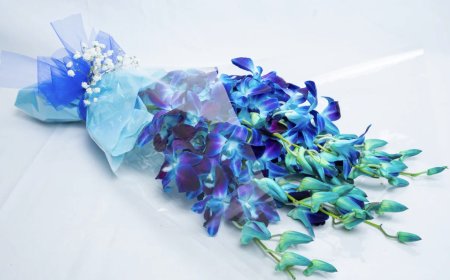 The Emotional Impact of Fresh Flowers — Why They Still Matter Today