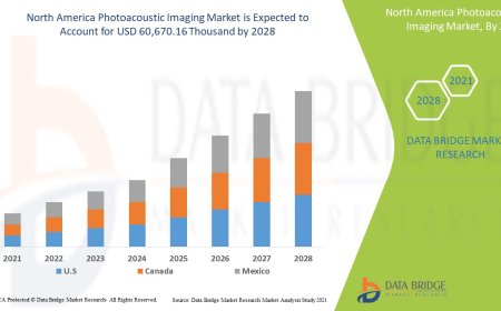 North America Photoacoustic Imaging Market   Production, Demand and Business Outlook 2028