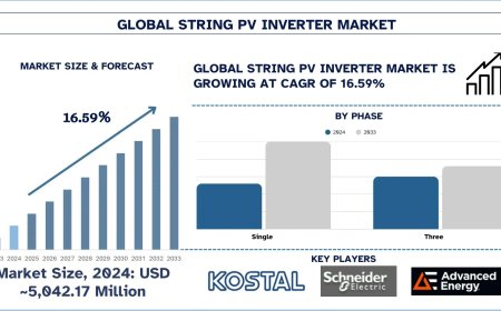 String PV Inverter Market: Share, Size, Trends & Forecast Research Report (2025-2033) | UnivDatos