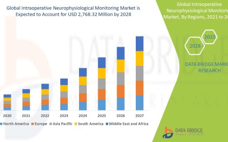 Intraoperative Neurophysiological Monitoring Market Production, Demand and Business Outlook 2028