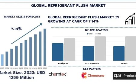 Refrigerant Flush Market Size, Growth Forecast & Key Trends (2025-2033) | UnivDatos