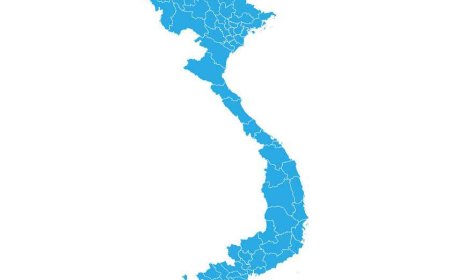 Latest Vietnam Export Data to Drive Strategic Business Growth