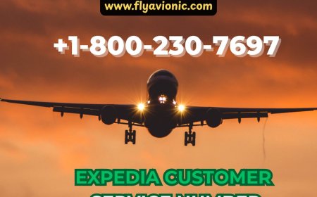 How Do I Speak to a Live Person at Expedia? Scroll for Secrets! 2025 July