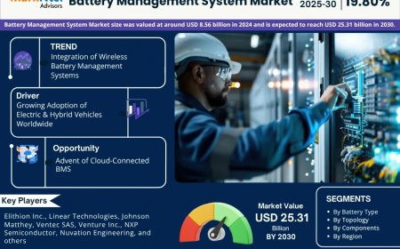 Battery Management System Market Size & Share 2025: Key Trends & Projections