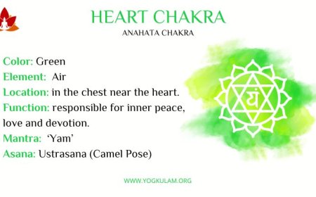 Unlocking the Power of the Heart Chakra Symbol: Meaning, Healing, and Spiritual Significance