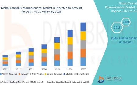 Cannabis Pharmaceutical Market Size, Status and Industry Outlook During 2028
