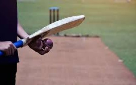 Everything You Need to Know About Cricket ID for Online Play and Betting