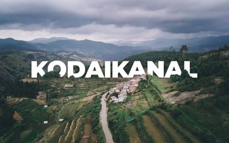 Ooty Kodaikanal Tour Package: South India's Hill Getaway