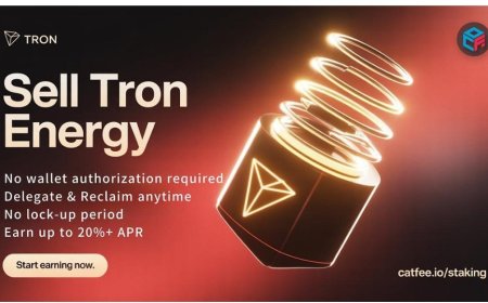 Sell Tron Energy on CatFee: Why “Staking Treasure” Outperforms Other TRX Investment Models