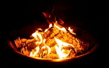 Stockbord Ved – Allt du Behöver Veta innan du Beställer Ved Hem till Dörren