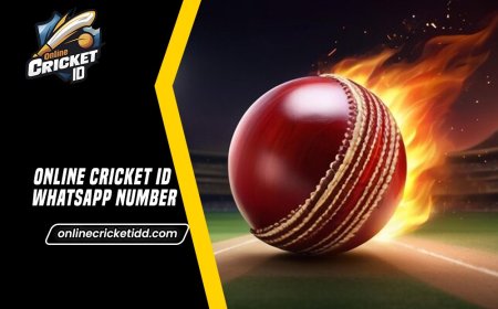 Online Cricket ID WhatsApp Number In Minutes – Reach Us On WhatsApp
