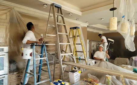 Top House Painters San Joses | Elegant Custom Painting Services