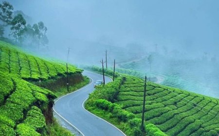 Perfect 3-Day Munnar Itinerary for First-Time Visitors