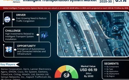 Intelligent Transportation System Market Overview 2025–2030: Share, Size & Future Trends