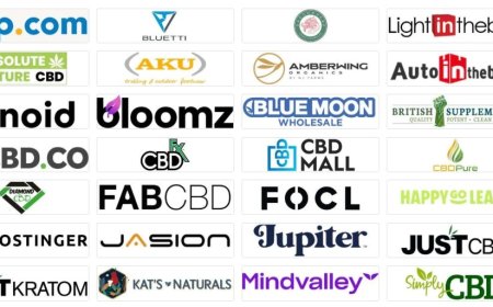 Easy Tips to Score a Cheech and Chong Discount Code