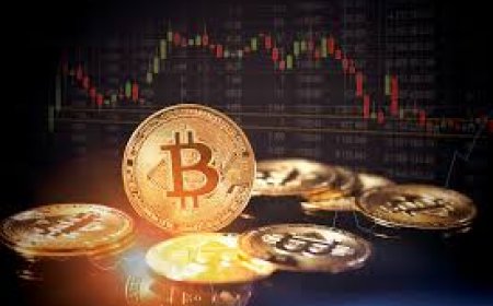 Top Cold Wallet Strategies for Long-Term Crypto Holders