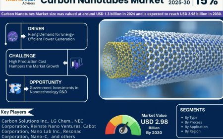 Carbon Nanotubes Market Overview 2025–2030: Share, Size & Future Trends