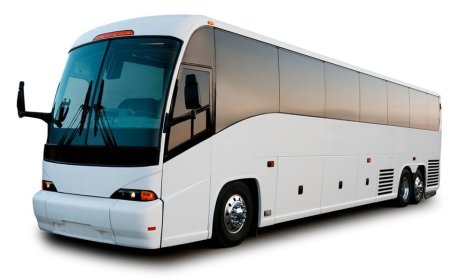 Why Charter Bus Rentals Are Perfect for Your Next Group Adventure