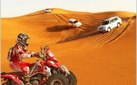 Discover Fun in Evening Desert Safari Dubai