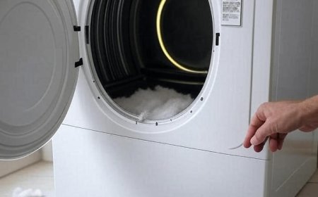 Clovis Cleaning Dryer Lint Trap: Protect Your Laundry Investment
