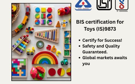 Ensuring Safe Play: Everything You Need to Know About BIS for Toys